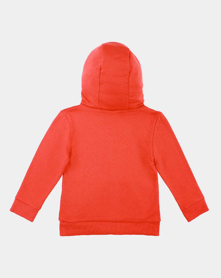 raptors hoodie kids