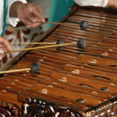 a picture of someone playing a wooden marimba