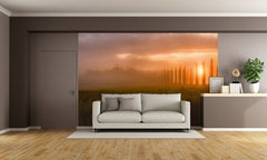 The Endless World of Wallpaper Murals – Wallpaper Brokers