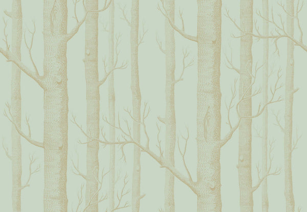 Cole & Son Woods Birch Trees Trunks Popular Wallpaper Melbourne