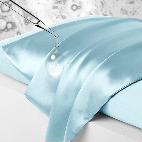 Hyaluronic acid Aqua Series 22 Momme Zippered Silk Pillowcase