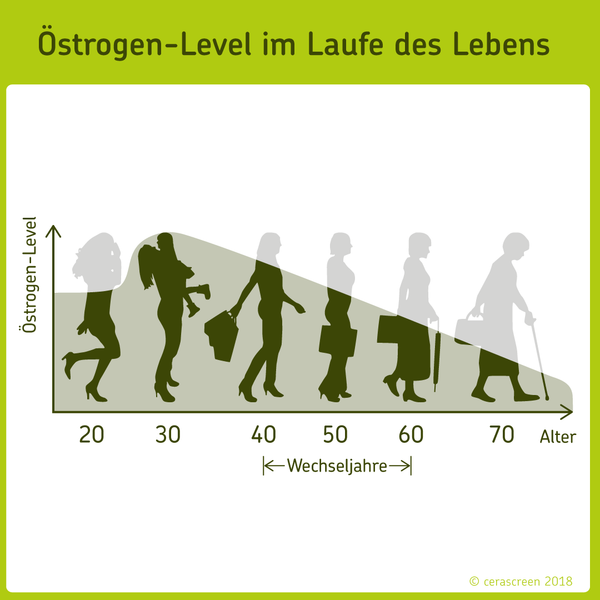 Östrogenlevel im Laufe des Lebens