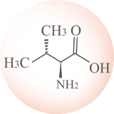 Isoleucina icon