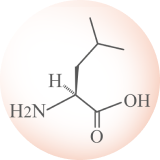 Leucine Icon