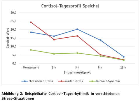 Abbildung 2