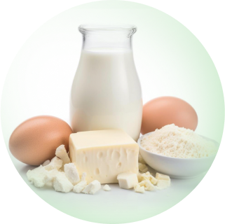Bilder von Milchprodukten und Ei