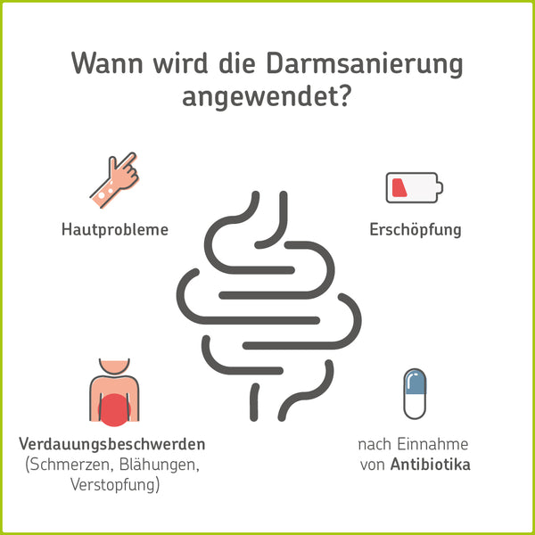 Wann wird die Darmsanierung angewendet?