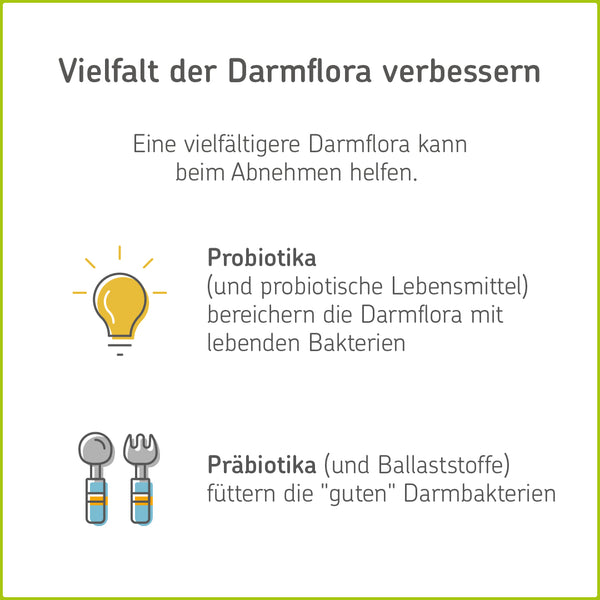 Infografik: Darmflora verbessern