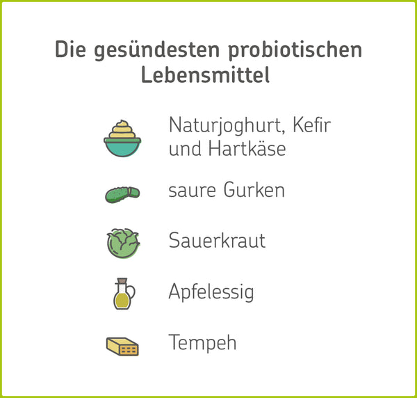 Beispiele für probiotische Lebensmittel