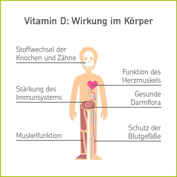 Infografik: Wirkungen von Vitamin D im Körper