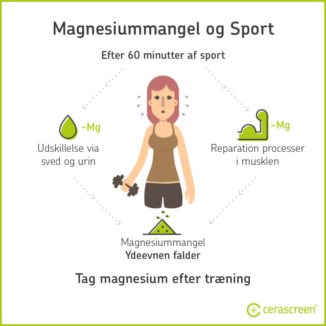 Magnesiummangel nach dem Sport