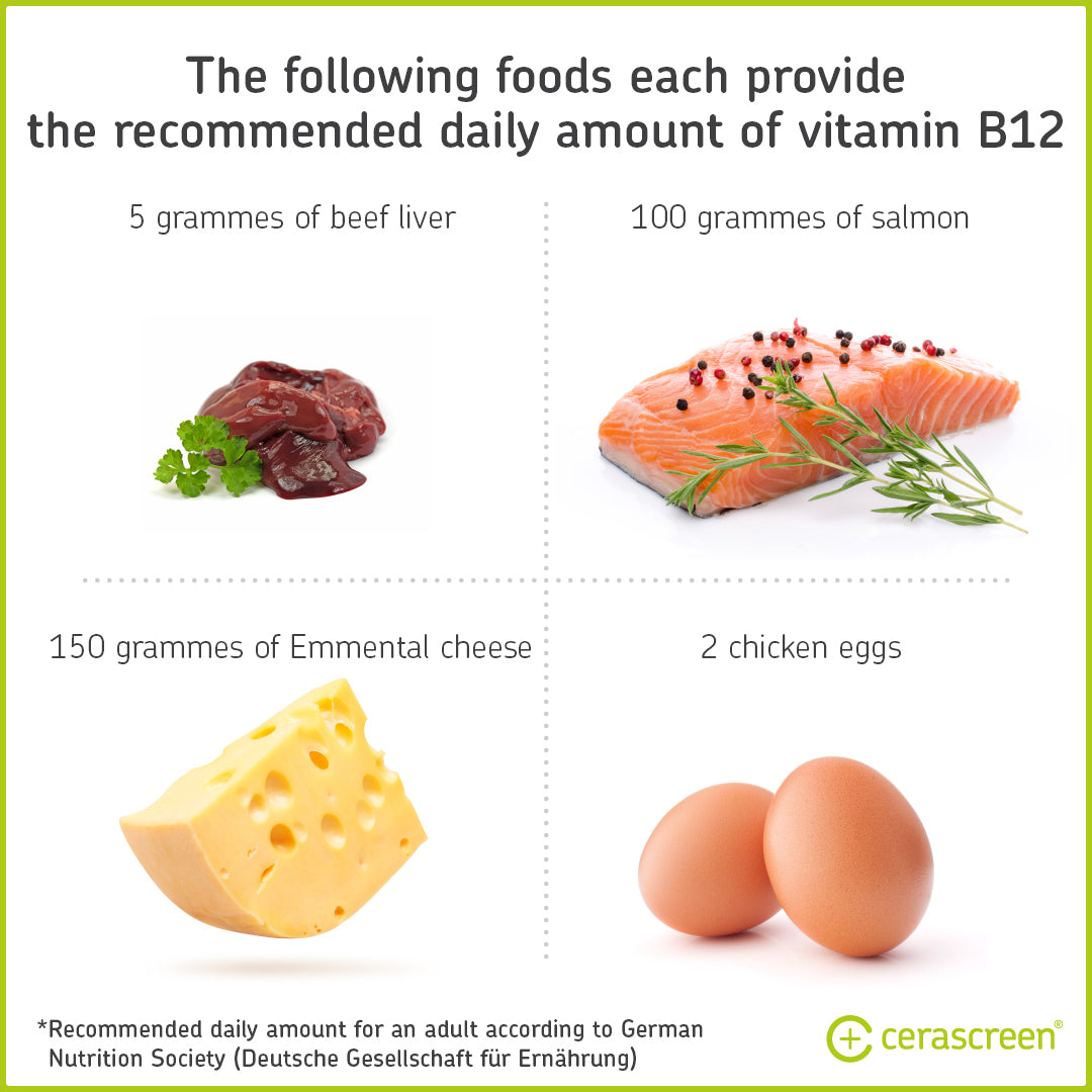 various foods high in B12, like cheese