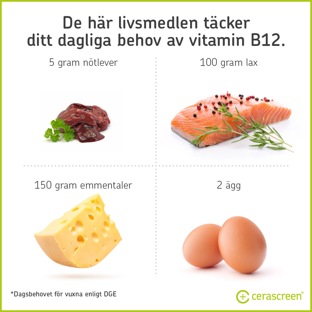 Mat som täcker det dagliga behovet av vitamin B12