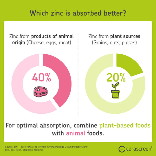 Foods with zinc – where is zinc absorbed better