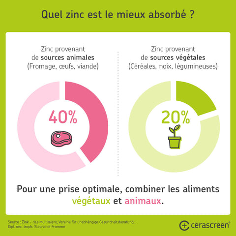 Contre la carence en zinc : Aliments depuis lesquels le zinc est mieux absorbé 