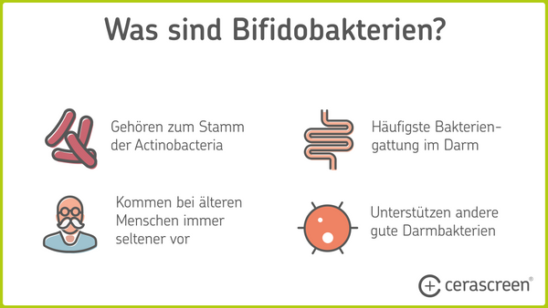 Infografik: Eigenschaften von Bifidobakterien