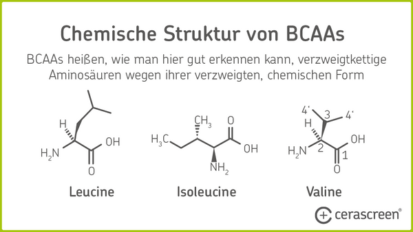 Infografik: Die chemische Struktur von BCAA