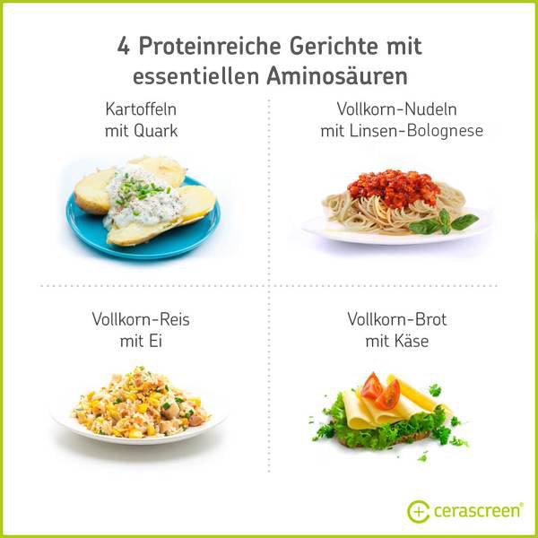 Infografik: 4 proteinreiche Mahlzeiten mit essentiellen Aminosäuren