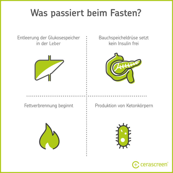 Infografik: Was beim Fasten im Körper passiert