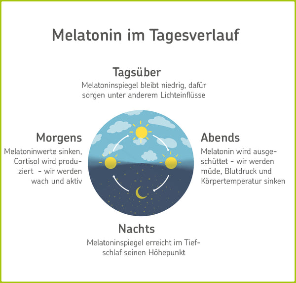 Infografik: So verändert sich der Melatoninspiegel im Tagesverlauf