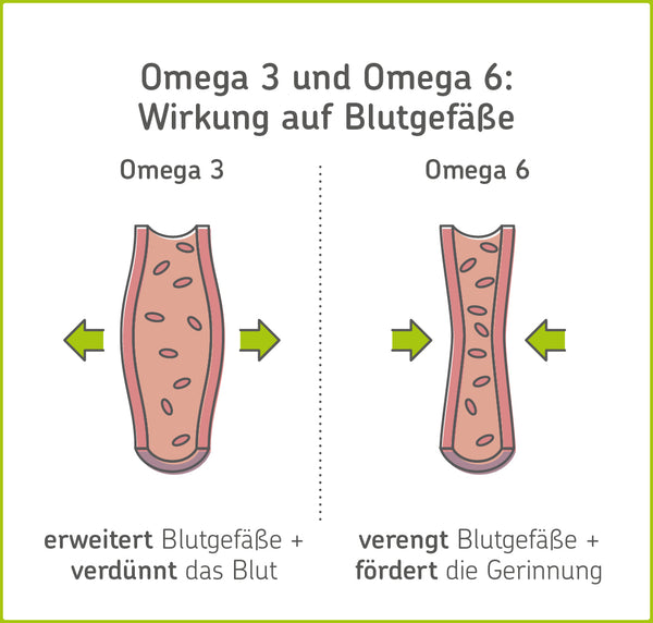 Infografik: So wirken sich Omega-3 und Omega-6 auf die Blutgefäße aus