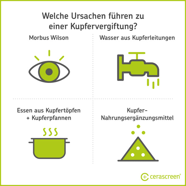 Infografik: Ursachen einer Kupfervergiftung