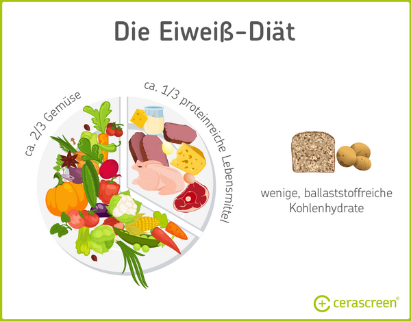 Infografik: Bei der Eiweiß-Diät 2/3 Gemüse, 1/3 proteinreiche Lebensmittel und etwas gesunde Kohlenhydrate