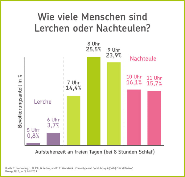 Infografik: Anteil von Nachteulen und Frühaufstehern 