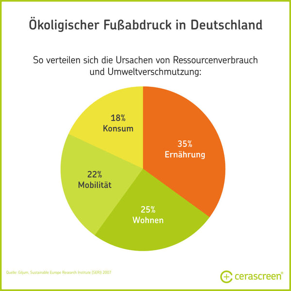 Infografik: Auf welche Lebensbereiche sich der ökologische Fussabdruck verteilt