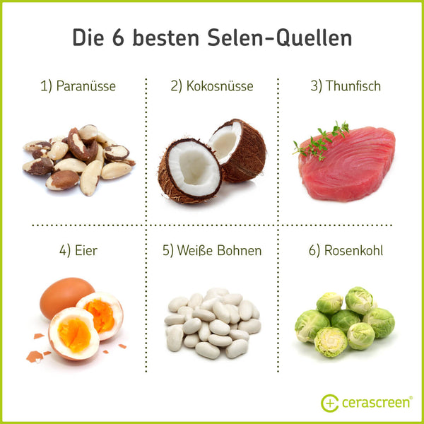 Die 6 besten Quellen für Selen