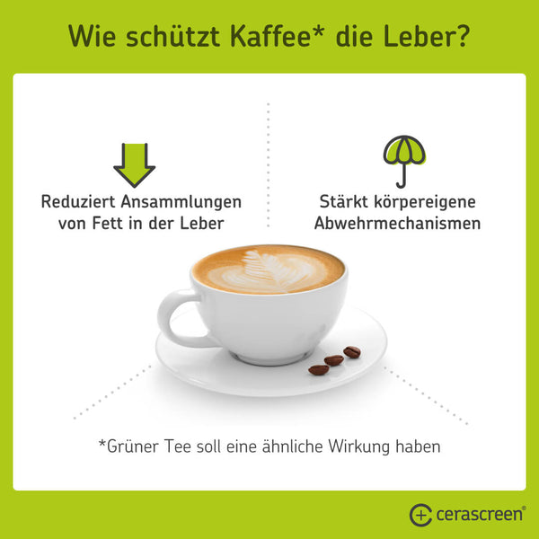 Wie Kaffee die Leber schützt