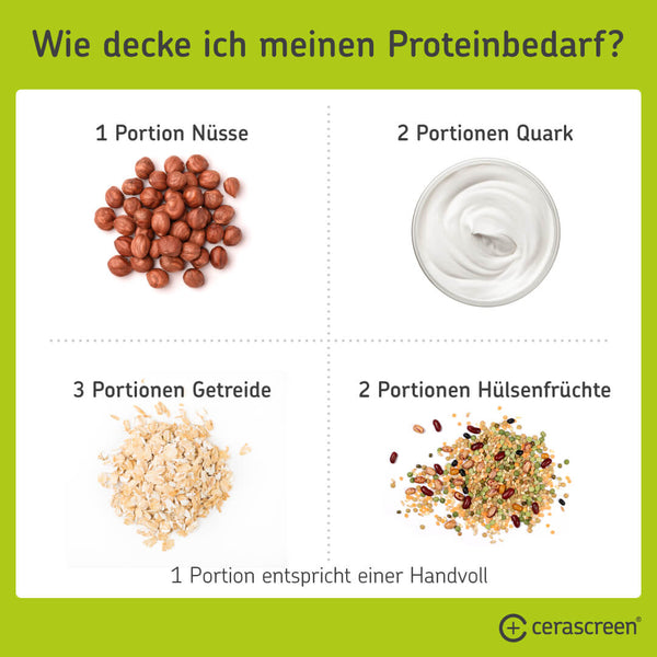 Lebensmittel, um den Proteinbedarf zu decken