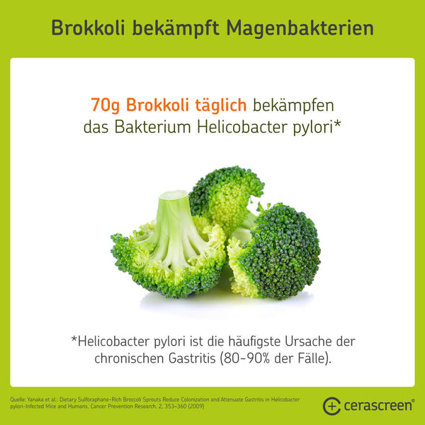 Gastritis - Brokkoli bekämpft Helicobacter pylori