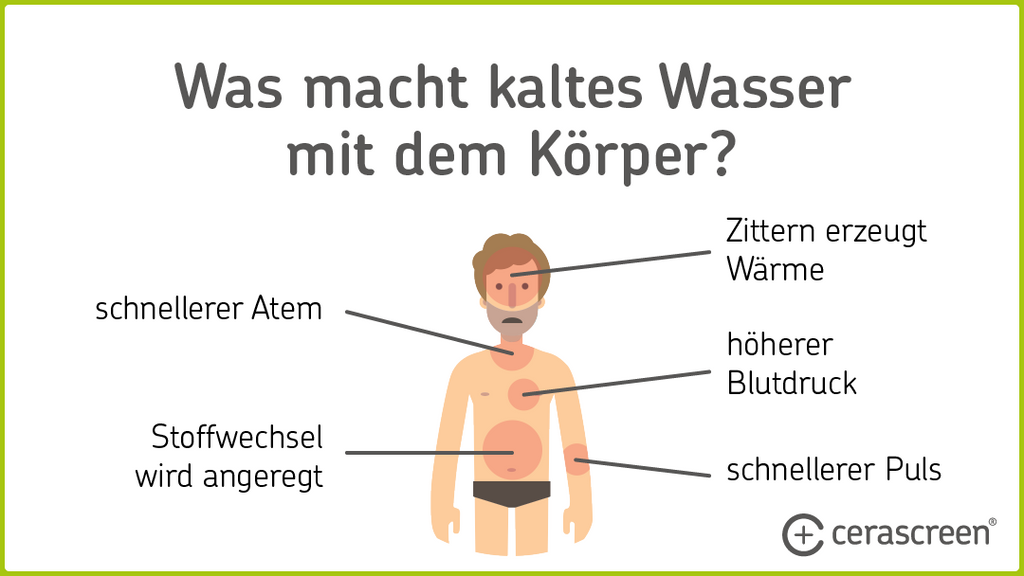 Infografik: Was macht kaltes Wasser mit dem Körper?