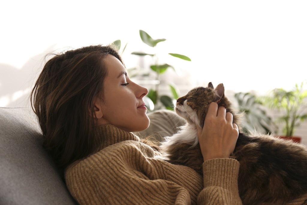 Katzenallergie testen: Frau schmust mit Katze auf dem Sofa