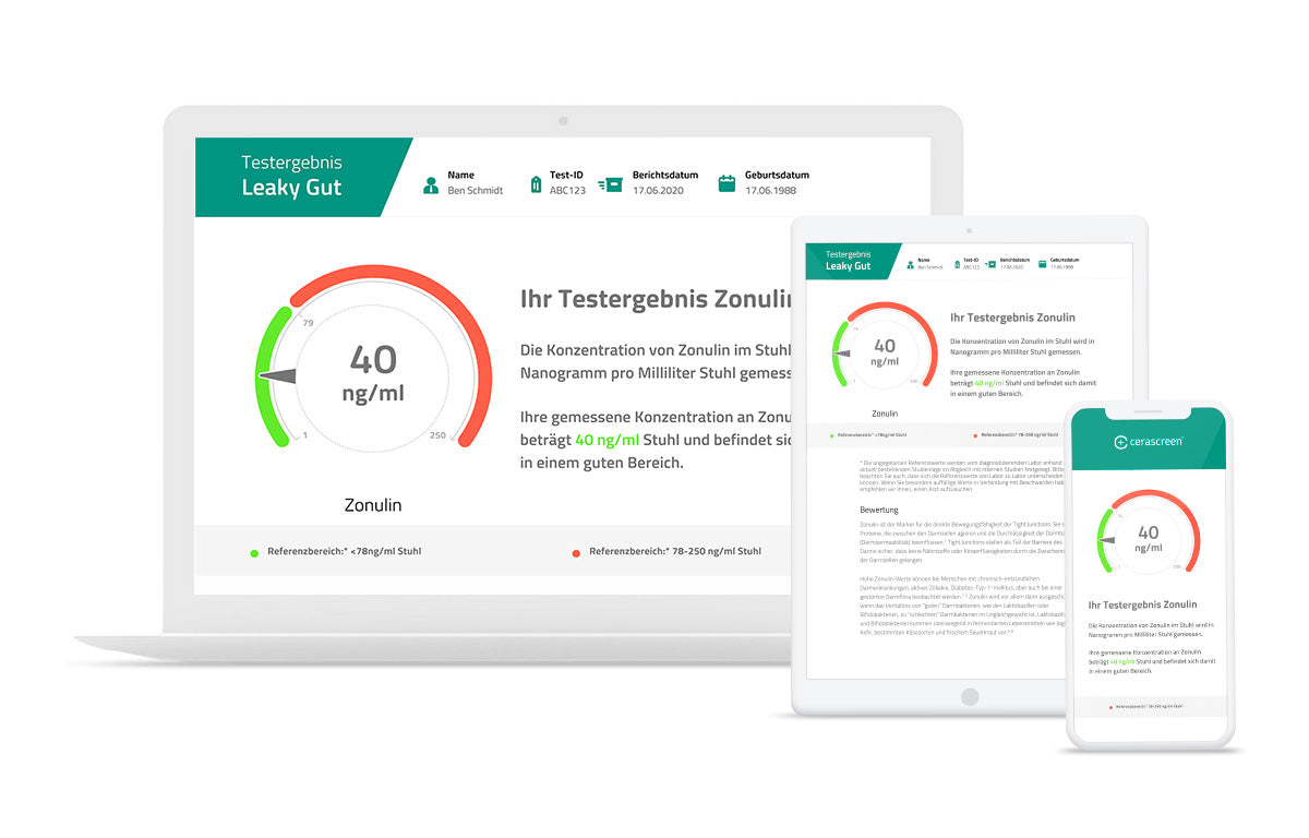 Ihr Testergebnis Leaky Gut Test