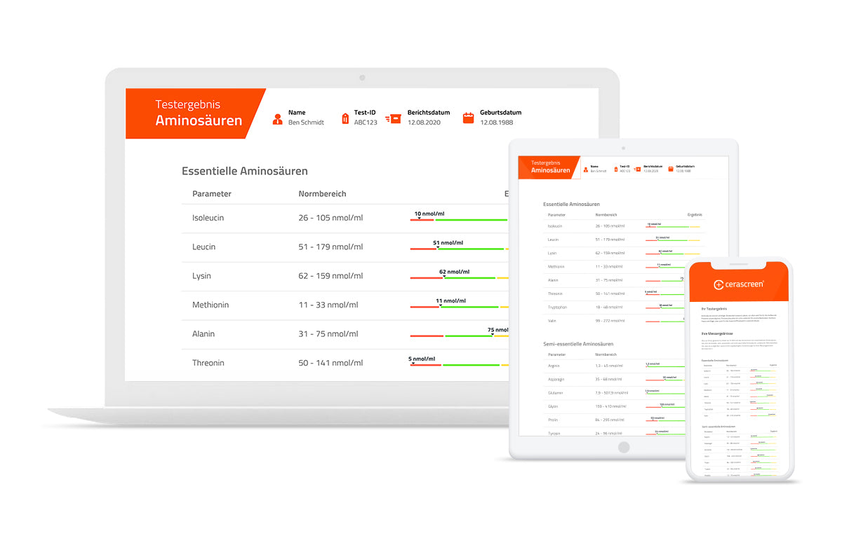 Ihr Testergebnis Aminosäuren Test