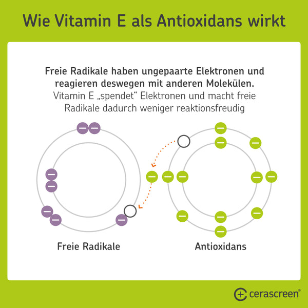 Infografik: Antioxidative Wirkung von Vitamin E