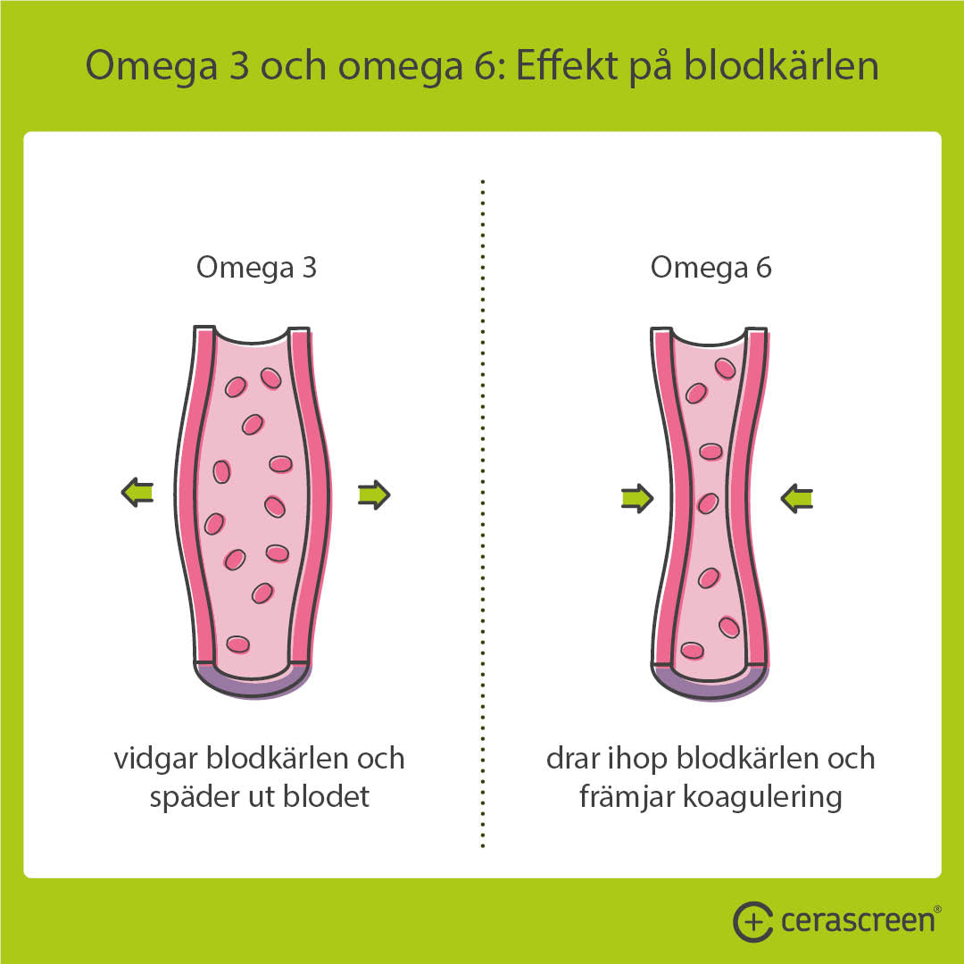 Effekterna av Omega 3 och Omega 6 på blodkärl