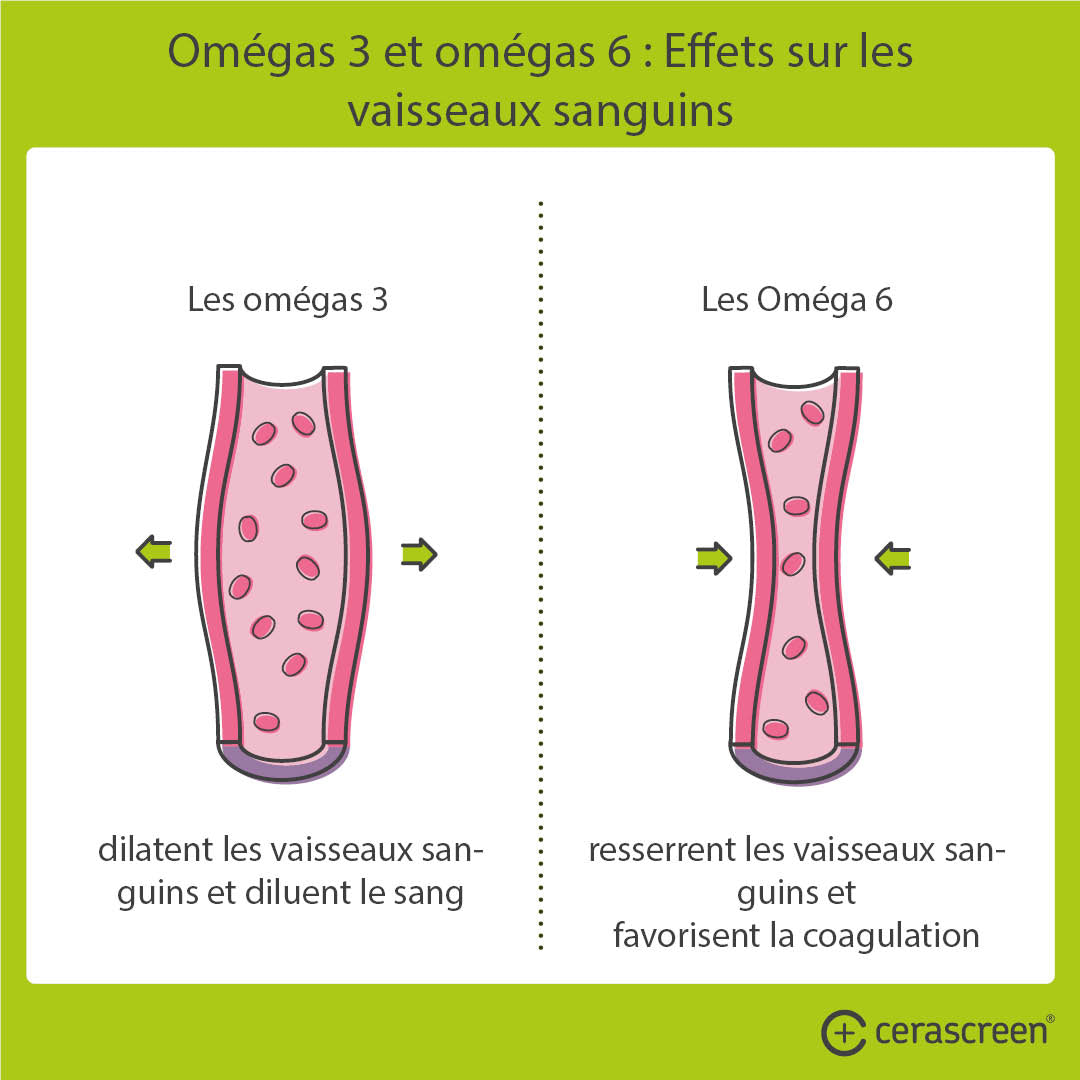 Les effets des oméga 3 et des oméga 6 sur les vaisseaux sanguins