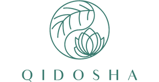 logo of qidosha