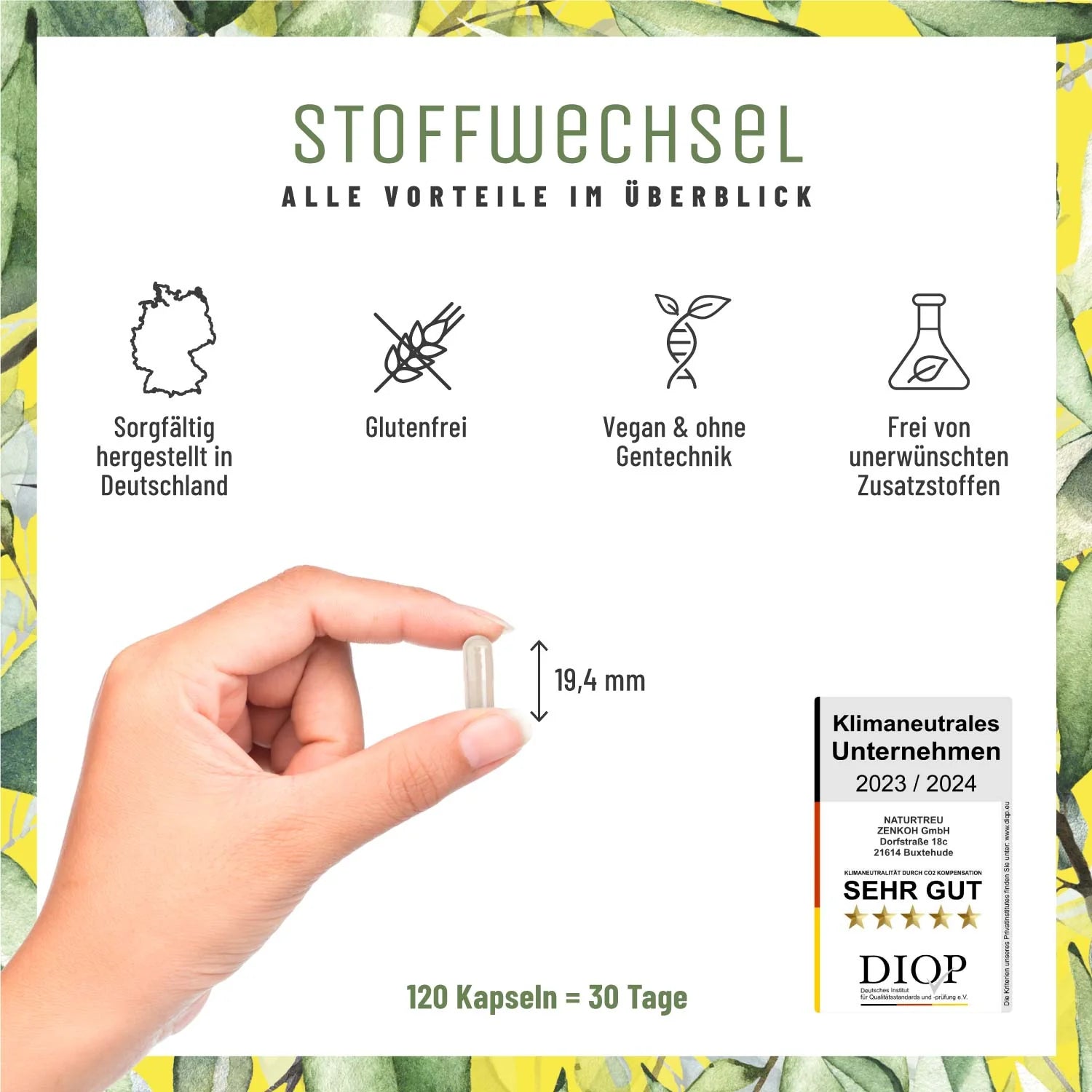 Stoffwechsel* Metabolismus-Komplex Kapseln