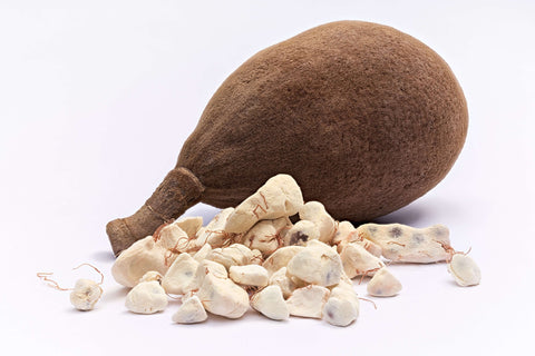 Baobab, die Frucht des Affenbrotbaums