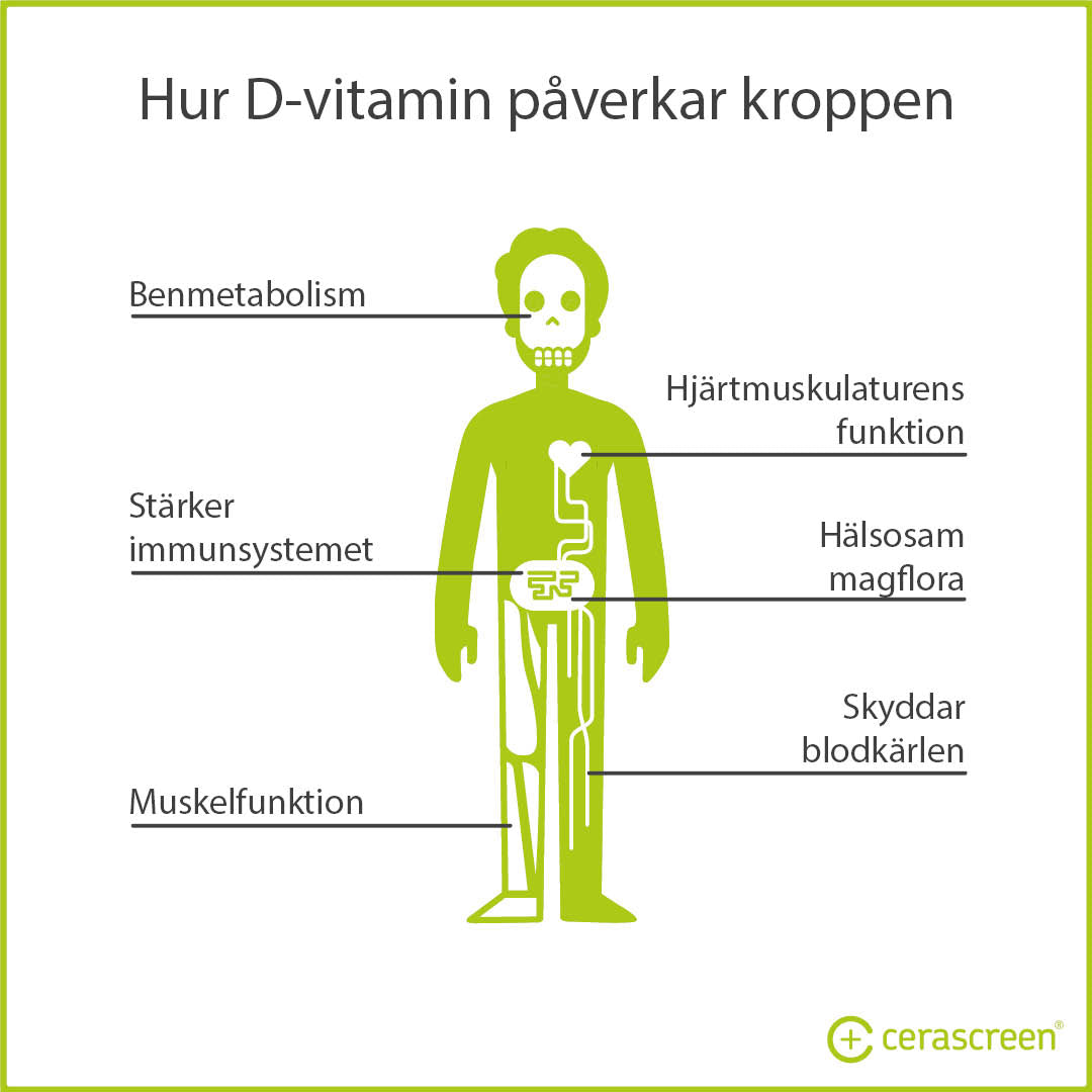 Hur vitamin D påverkar kroppen