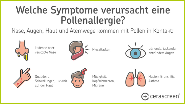 Pollenallergie Symptome Diagnose Therapie cerascreen