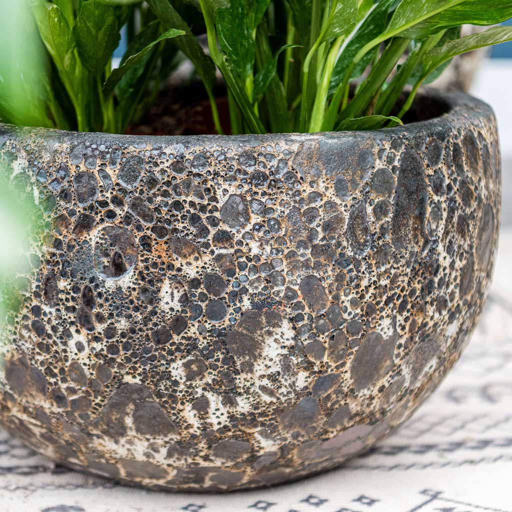 https://cdn.shopify.com/s/files/1/1706/1307/files/Lava-Bowl-Relic-Planter-Black_553bf850-4306-49eb-b59f-ed676aaa4ce7_1600x.jpg?v=1685015999