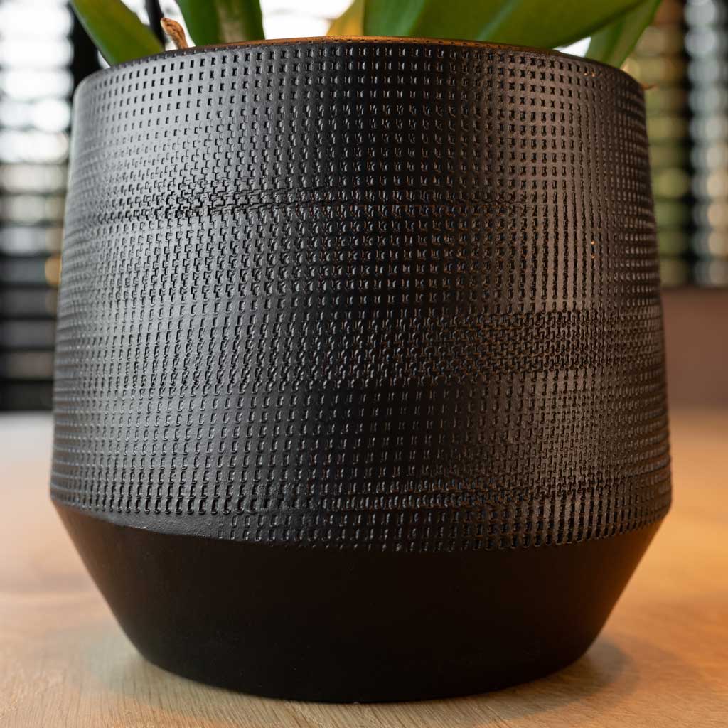 Charlie Pot black washed extra large – Sprout Home
