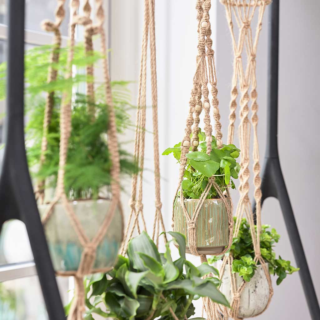 macrame plant pot hangers