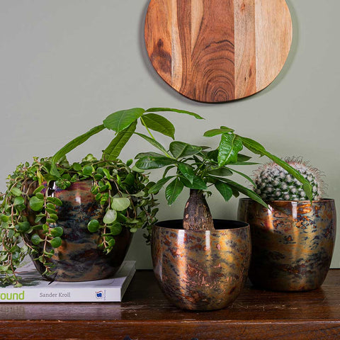 Metallic Plant Pots