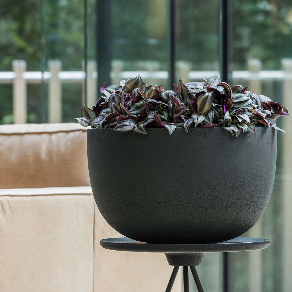 Sunny Plant Bowl - Clouded Grey - Quality Planters | Hortology